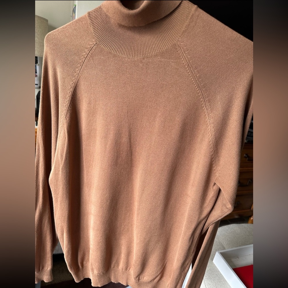 ZARA turtleneck sweater
